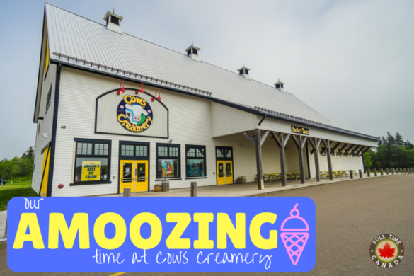 Cows Creamery Full Time Canada