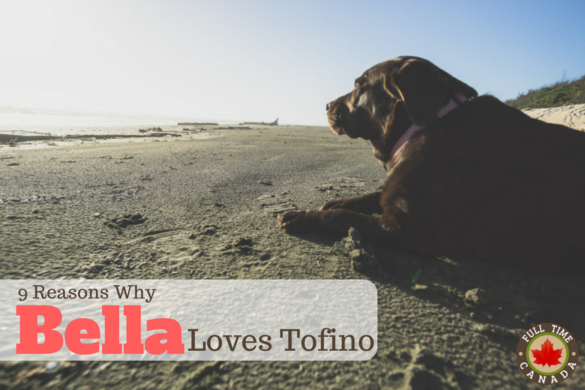 9 Reasons Why Bella Loves Tofino