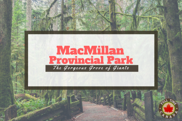 MacMillan Provincial Park