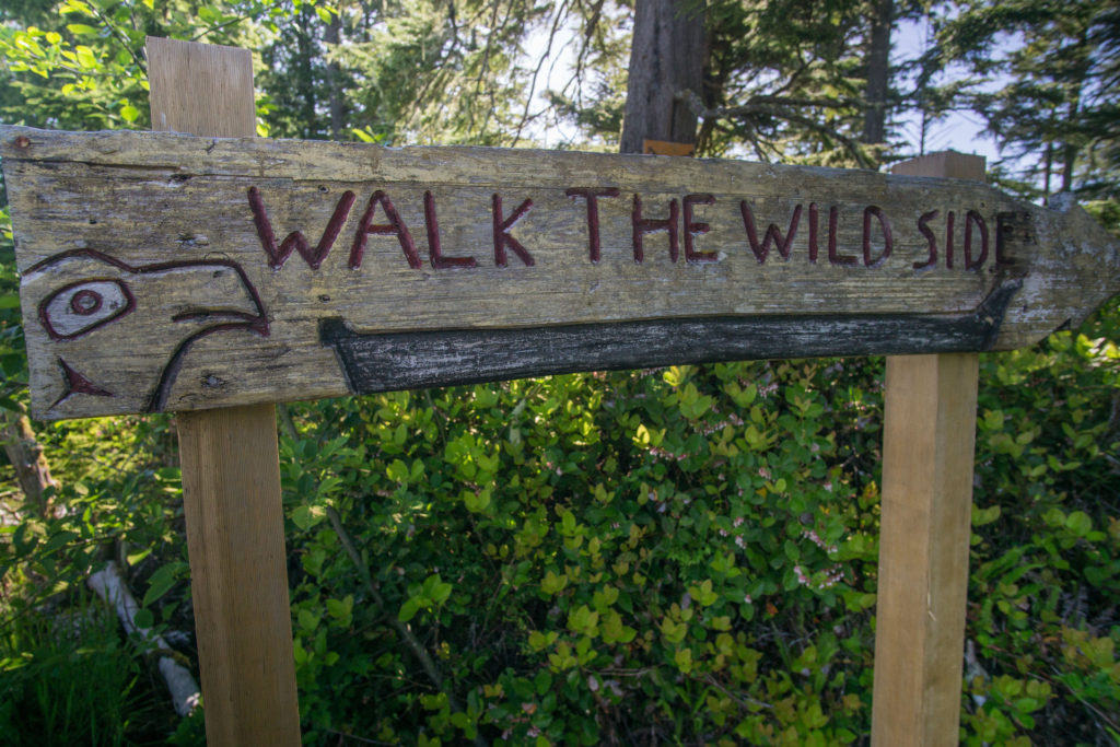 Wild Side Trail Hello Nature Adventure Tours
