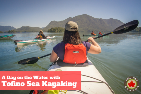 tofino sea kayaking